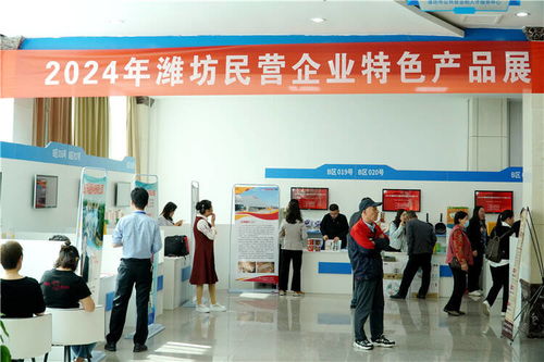 100家企業(yè)提供就業(yè)崗位2000余個(gè) 2024年濰坊市百?gòu)?qiáng)民營(yíng)企業(yè)人才交流大會(huì)舉行