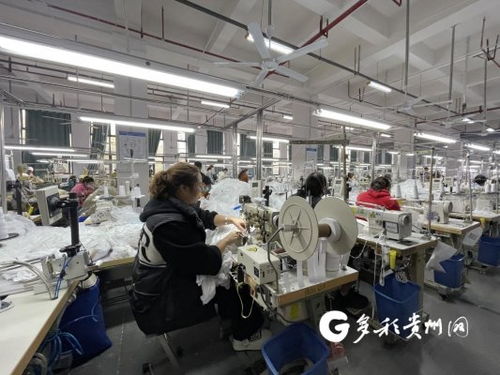 工廠建在家門口 產(chǎn)業(yè)就業(yè)雙豐收，職業(yè)中介活動(dòng)助力發(fā)展